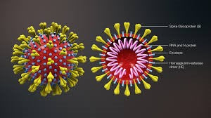 Understanding Corona virus (COVID-19) and why the cure may already exist