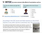 V-Detox